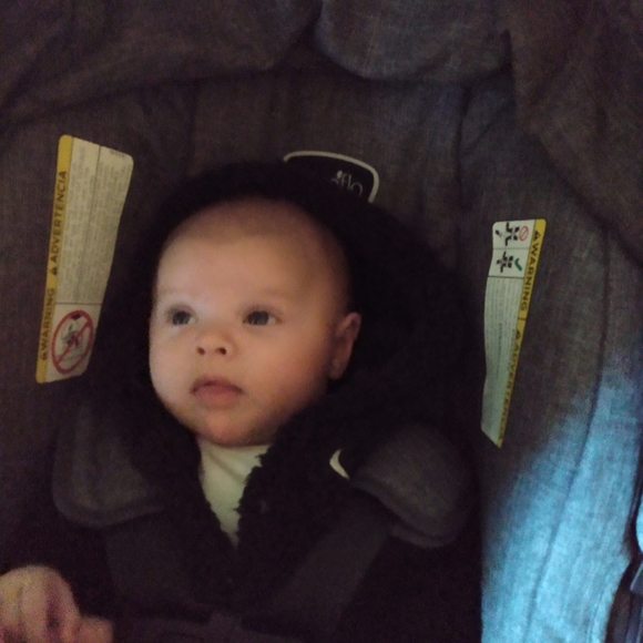 Meet your Posher, Lory - Picture 9 of 16